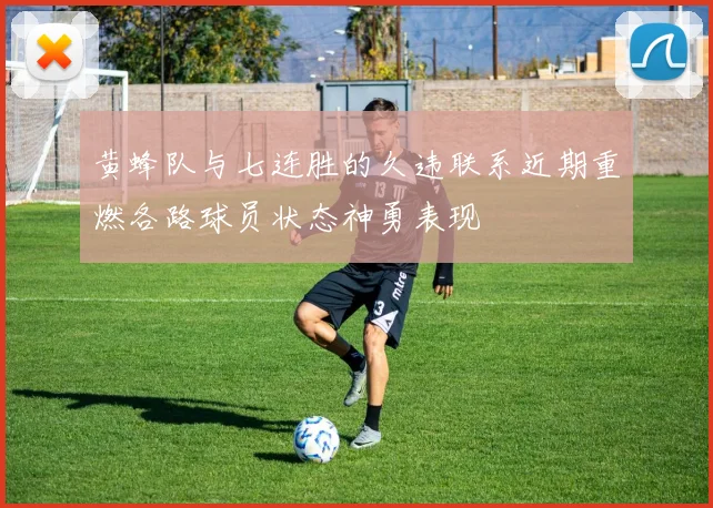 黄蜂队与七连胜的久违联系近期重燃各路球员状态神勇表现